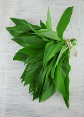 intensely fragrant fresh green wild garlic herbs decorated on rustic white wood plate kitchen background