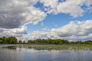 Kushugum floods in autumn
