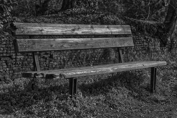 Fototapeta premium One wooden bench on sunny day in Italy, public parkland