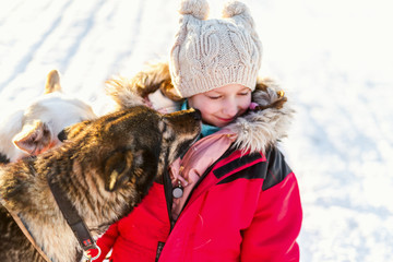 Little girl with husky dog