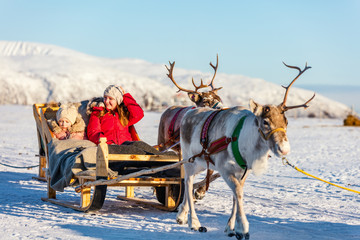 Reindeer safari © TravelPhotoBloggers