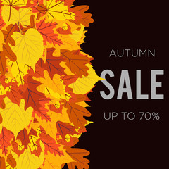Autumn Sale
