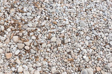 shore with stones
