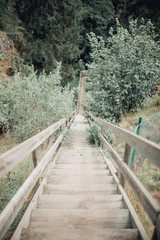 Obraz premium stairs to lake and forest