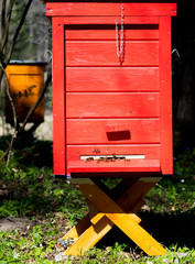 a beautiful wooden red beehive with bees flying into it standing in the middle of a green forest on a sunny day