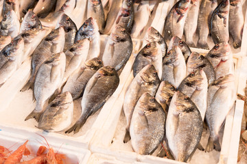 Fresh fish at the Naples market