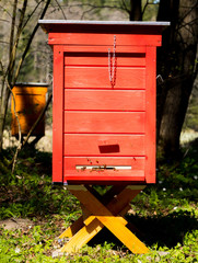 a beautiful wooden red beehive with bees flying into it standing in the middle of a green forest on a sunny day