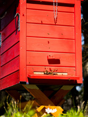 a beautiful wooden red beehive with bees flying into it standing in the middle of a green forest on...