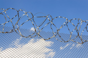 Barbed wire on blue sky background.