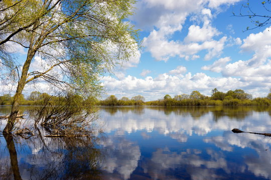 Spill on the Dnieper, Zhlobin