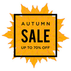 Autumn Sale, Autumn Background, Autumn Leaves, Autumn Leaf, Sale Banner