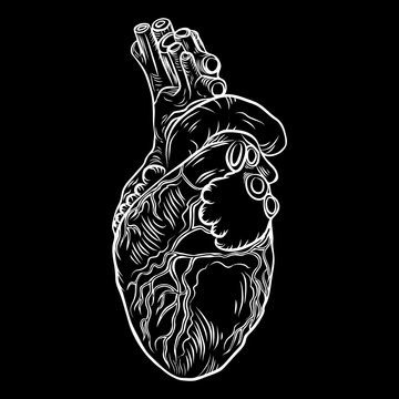 Heart boho black work, dot work flesh tattoo concept. Symbol of love and life. Sketch isolated on black for t-shirt print, poster, textile. Vector.