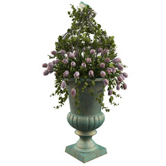 White tulips flowers in vase