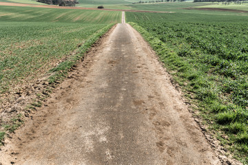 Felder in der Intensivlandwirtschaft