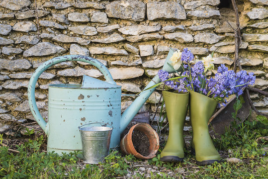 Spring gardening concept in rustic style