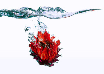 Swimming-flower