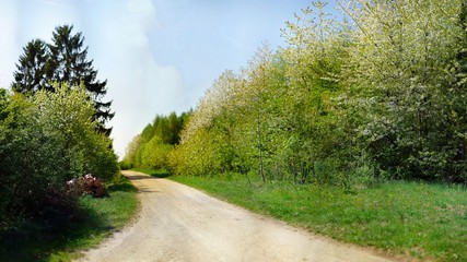 Spring in Germany