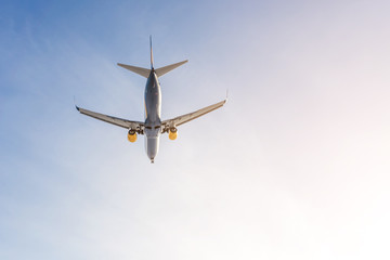 Big passenger airlplane flying against clear blue sky during sunset. Landing or take off. Bottom view. Copyspace for text. Summer travel concept