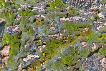 Obraz premium Water fountain closeup in Banska Bystrica, Slovakia.