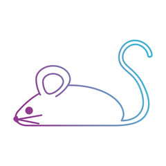 little mouse isolated icon vector illustration design
