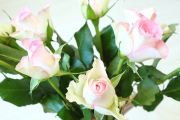 Beautiful bouquet of pink roses. Close-up. Background.