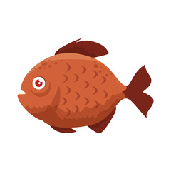 cute ornamental fish icon vector illustration design