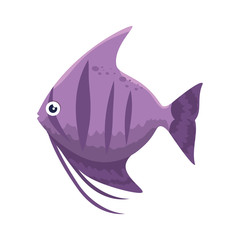 cute ornamental fish icon vector illustration design