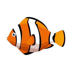 cute ornamental fish icon vector illustration design