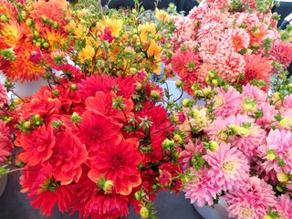 Bouquets of fresh cut flowers at an outdoor market