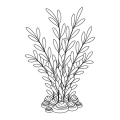 aquarium decorative seaweed icon vector illustration design