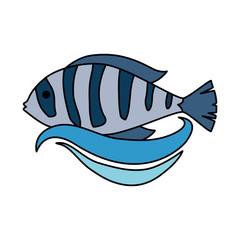 cute ornamental fish icon vector illustration design
