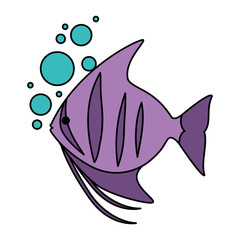 cute ornamental fish with air bubbles vector illustration design