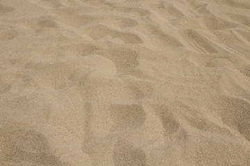 Fototapeta na wymiar Beautiful sea shell sand. Beach sand. Background. Texture. Close-up.