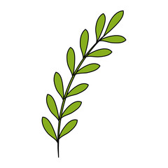 leaf of marine plant vector illustration design