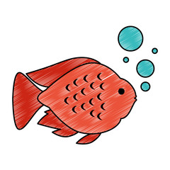 cute ornamental fish with air bubbles vector illustration design