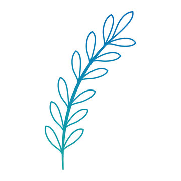 leaf of marine plant vector illustration design