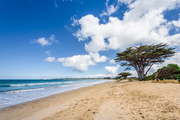 Relaxing at the blue Bass Strait sea and enjoying a warm sunny beach view over blue sky water of Great Ocean Road with a few clouds horizon over small town Apollo Bay, Melbourne, Victoria, Australia