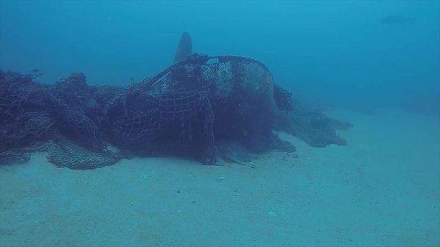 Sea turtle resting in the reefs of Cabo Pulmo National Park, Cousteau once named it The world's aquarium. Baja California Sur,Mexico.