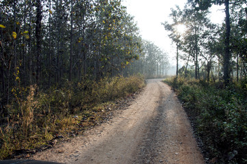 The path back home of the gardeners.