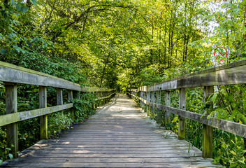 Fototapeta na wymiar Wooden boardwalk for hiking in the park