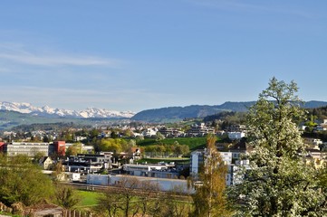 Fototapeta na wymiar Blick auf die Stadt Au am Zürichsee und der Halbinsel Au bei Wädenswil, im Kanton Zürich - Schweiz Im Hintergrund die Schneeberge