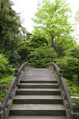 Fototapeta premium 日本庭園