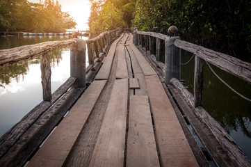 Fototapeta premium Wood walkway path over river and through tropical forest