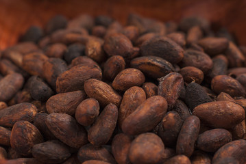 Semillas de Cacao