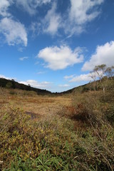 横根高原・井戸湿原の秋