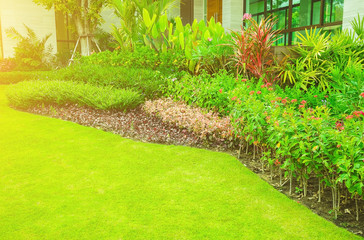 Obraz premium Landscape formal, Front yard is beautifully designed garden, Design background