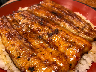 Delicious eel weight, Japan