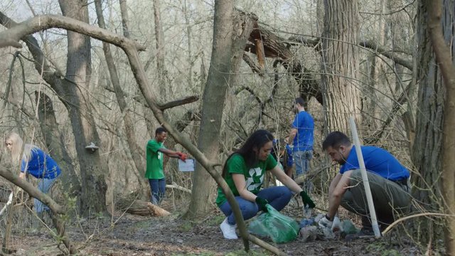 Multiethnic group of volunteers walking in spring forest and picking trash into plastic bags.