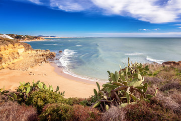 Beautiful coast of the ocean, Algarve, Portugal. Cacti grow on rocks, stunning seascape