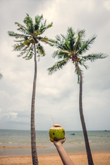 Coconut in hand under palm trees. The shore of the ocean.